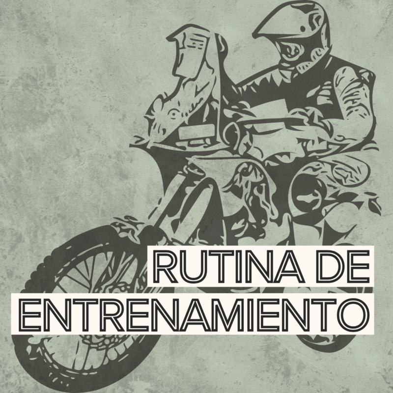 RUTINA DE ENTRENAMIENTO | CURSO DE VÍDEO + E-BOOK